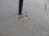 como hacer las arandelas 030.JPG