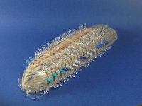 Armazón central 3.jpg