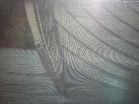 nysharedfolder 002.JPG