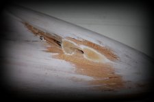 1-pen duick1226-003.JPG