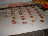 nysharedfolder 001.JPG