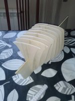 CAM00098 - copia.jpg