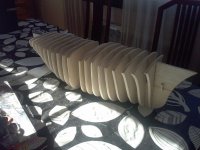 CAM00109 - copia.jpg