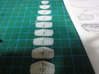 DSC06627 (Copiar).JPG DSC06627 (Copiar).JPG