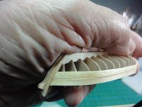 DSC06657 (Copiar).JPG DSC06657 (Copiar).JPG