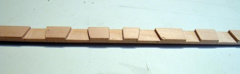 La Belle 24-02-2008 028 b.jpg