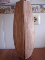 SF II 16,03,08 007 [800x600].jpg