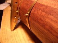 CIMG5408 cinchas sueltas.JPG