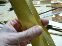 P1000981 [800x600].JPG