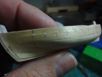 DSC06700 (Copiar).JPG DSC06700 (Copiar).JPG