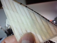 DSC06767 (Copiar).JPG