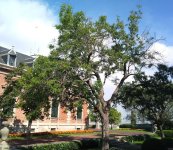 Captura5.JPG Captura5.JPG