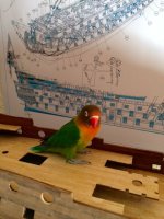 la foto 1.jpg la foto 1.jpg