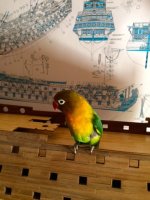 la foto 2.jpg la foto 2.jpg