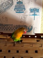 la foto 5.jpg la foto 5.jpg