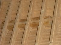 CIMG0197 (Copiar).JPG