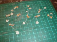 nysharedfolder 002.JPG