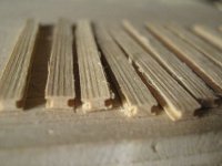 IMG_9139 (Copiar).JPG