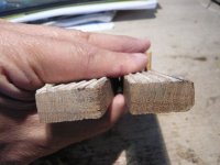 Vista de los palilos.jpg