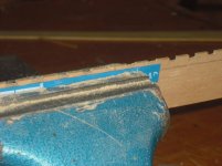 CIMG1589 (Copiar).JPG