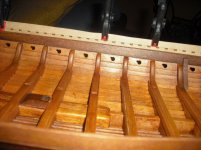 CIMG1607 (Copiar).JPG