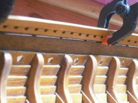 CIMG1638 (Copiar).JPG