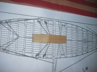 CIMG1273 (Copiar).JPG