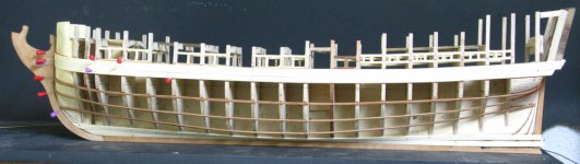 lateral dividido.jpg