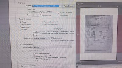 La zona roja es la parte del pdf que no entra en la hoja A4 y hay que achicarla con la opción recortar imagen.