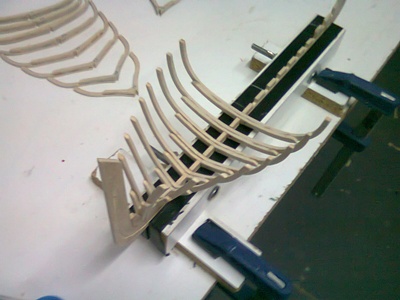 almejera de salva en construcción.
