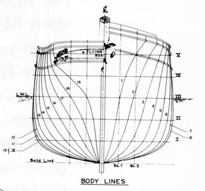 flying fish-bodylines.jpg