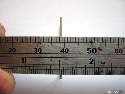 sj1221.jpg