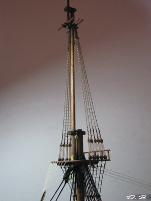 sj2110.jpg