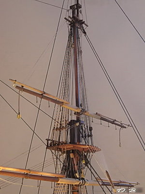 sj2273.jpg