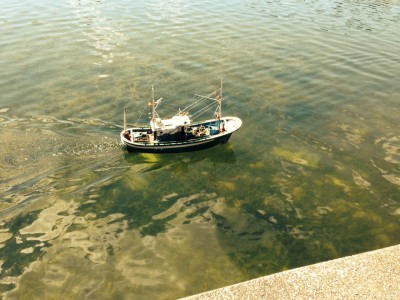 Barco pesquero. 1JPG.JPG