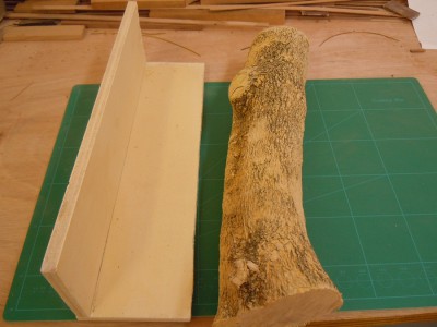 DSCN3363.JPG