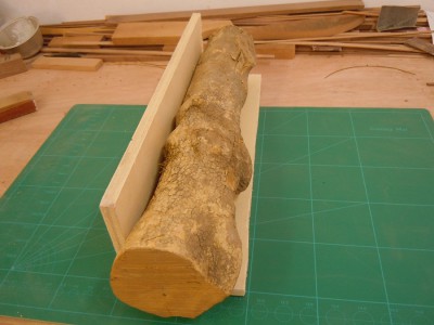 DSCN3366.JPG