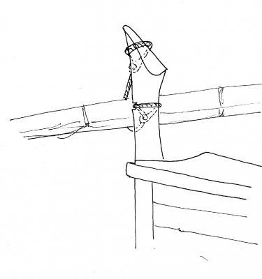 img431.jpg