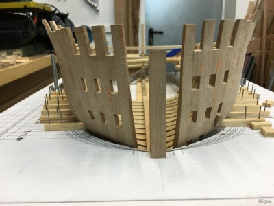 tn_IMG_8709.jpg