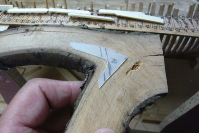Busco una horquilla de cerezo –es la madera que estoy utilizando para la estructura- que se adapte a la forma de la plantilla. Corto una loncha a la horquilla del espesor que necesito -7 mm - y después de dibujar sobre la loncha el contorno de la plantilla, recorto las aristas de la escuadra correspondientes al casco y al bao. Las otras aristas las recorto cuando tenga la escuadra bien ajustada al casco y al bao.