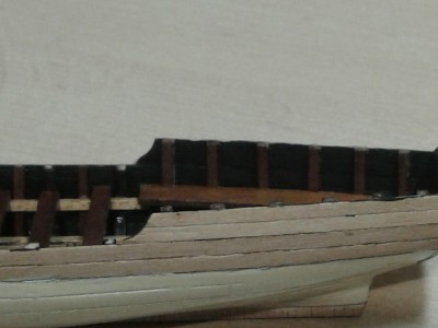 455.jpg