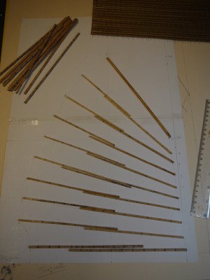 Patrón en cartulina del mesana y los nervios de bambú presentados para ver qué longitud tendrán.
