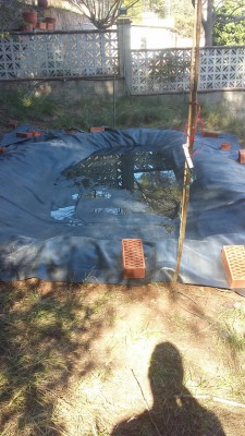 IMG-20170310-WA0006-734x1305.jpeg