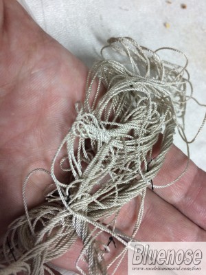 NepoColchadora_0014.jpg