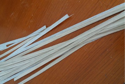 Tracas 5.jpg
