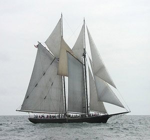 Ernestina2.jpg