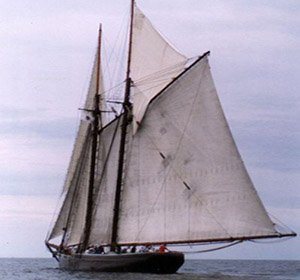 Ernestina3.jpg