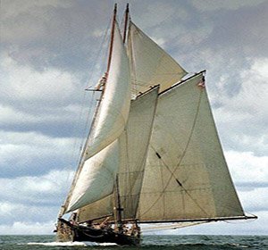 Ernestina4.jpg