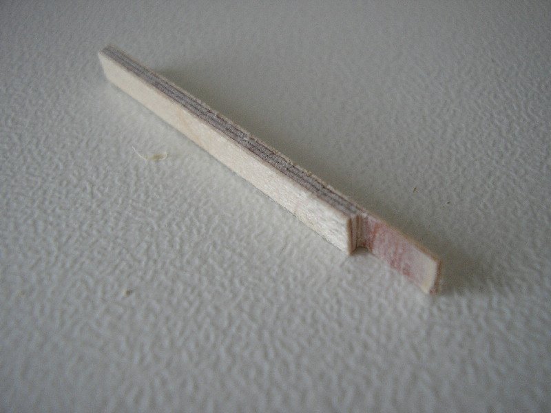 P1010081 FORO.jpg