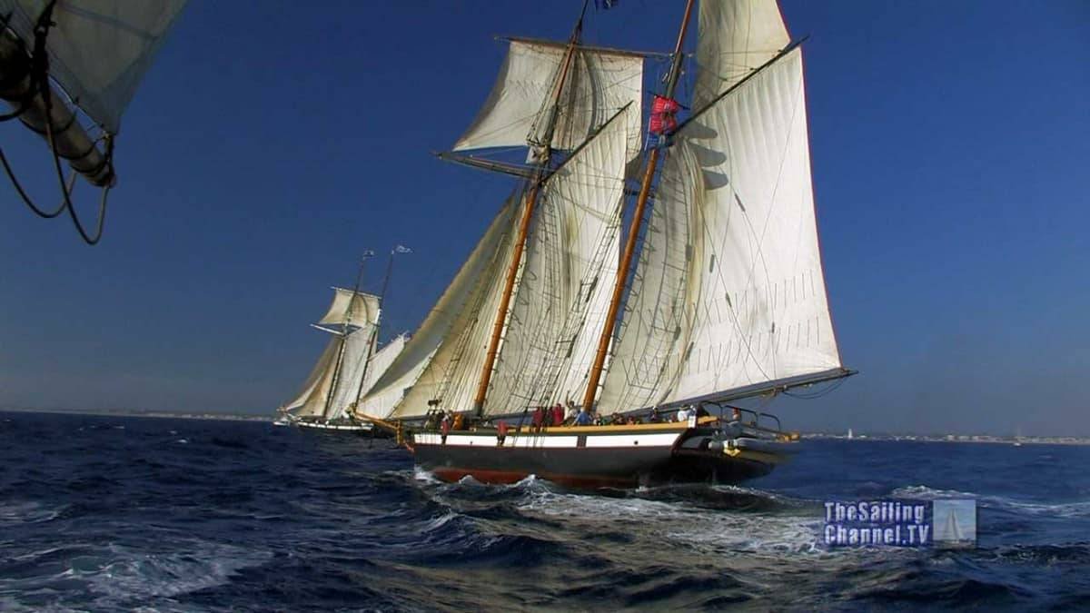 lynx-7_1280x720_compress55.jpg